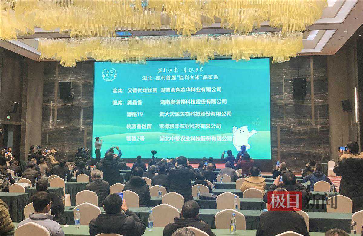 大米好不好吃，如何判断？14位专家用舌尖挑选优质“监利大米”