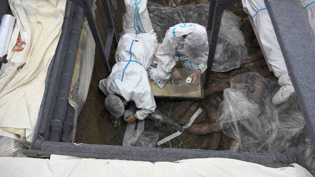 考古新青年｜三星堆“85后”教授舱长 见证5号坑“金斧”出土