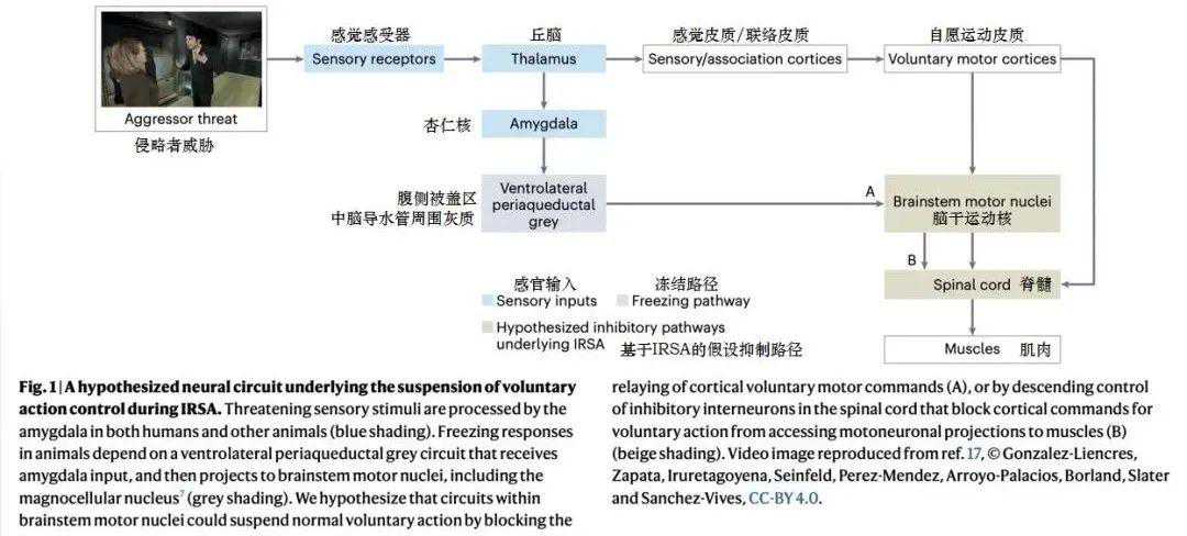 遇到厌女言论，用科学来反击吧！
