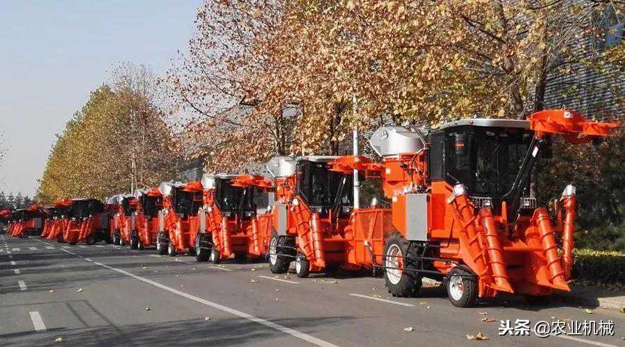 做农机不赚钱？国产甘蔗机典范洛阳辰汉给你新认知