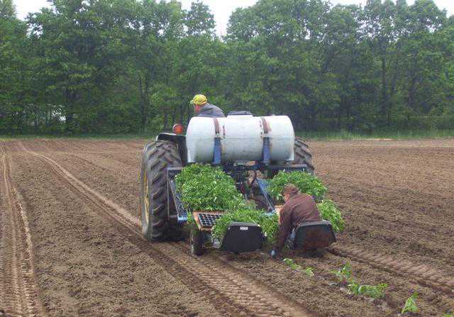 社区支持农业模式受热捧，有人靠这模式年入800万！