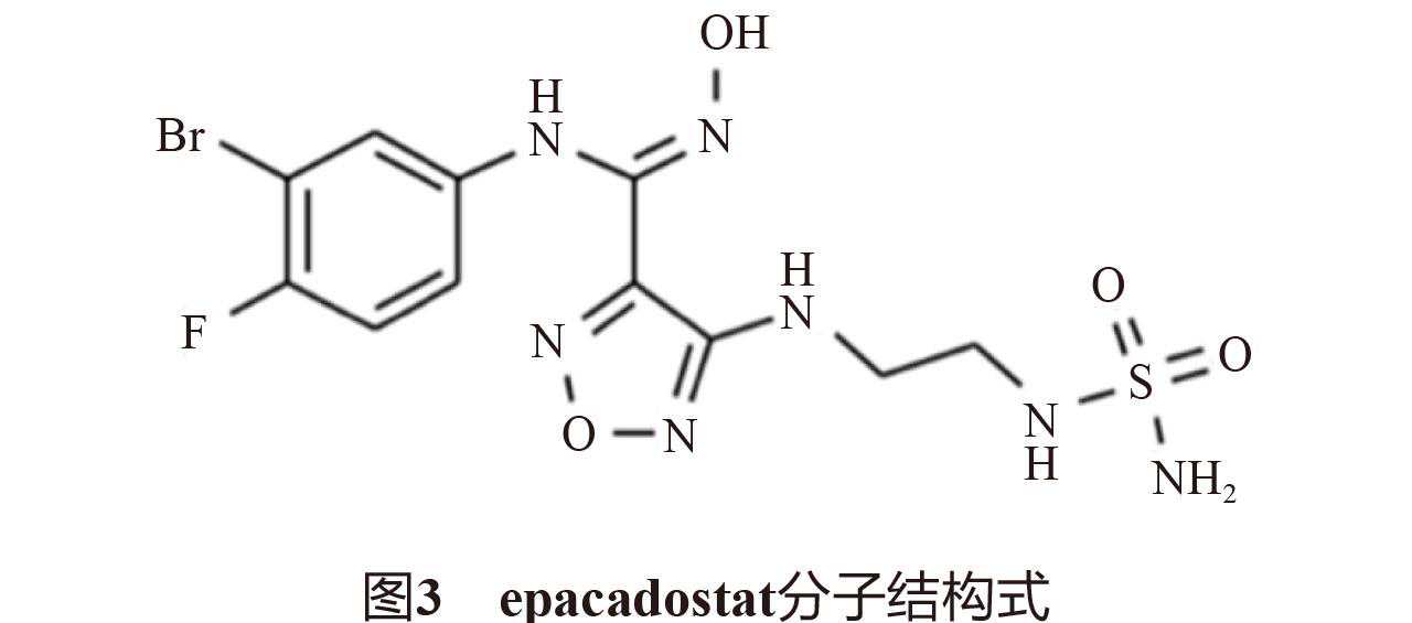 有效抑制这种酶的活性可启动体内抗肿瘤免疫反应！研究现状在这里