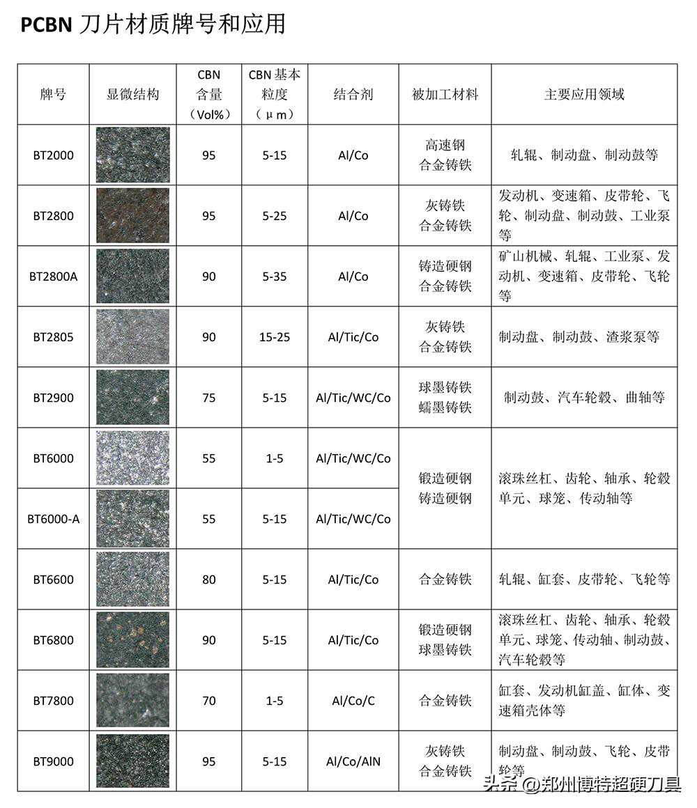 New Phytol. | 农科院作物所何中虎团队在小麦春化开花研究方面取得重要进展