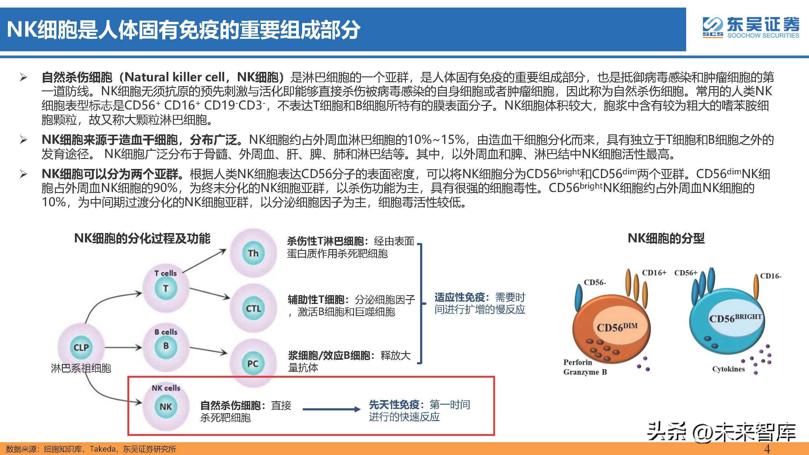 医药行业专题报告：NK细胞为免疫系统先锋队，关注其细胞免疫疗法