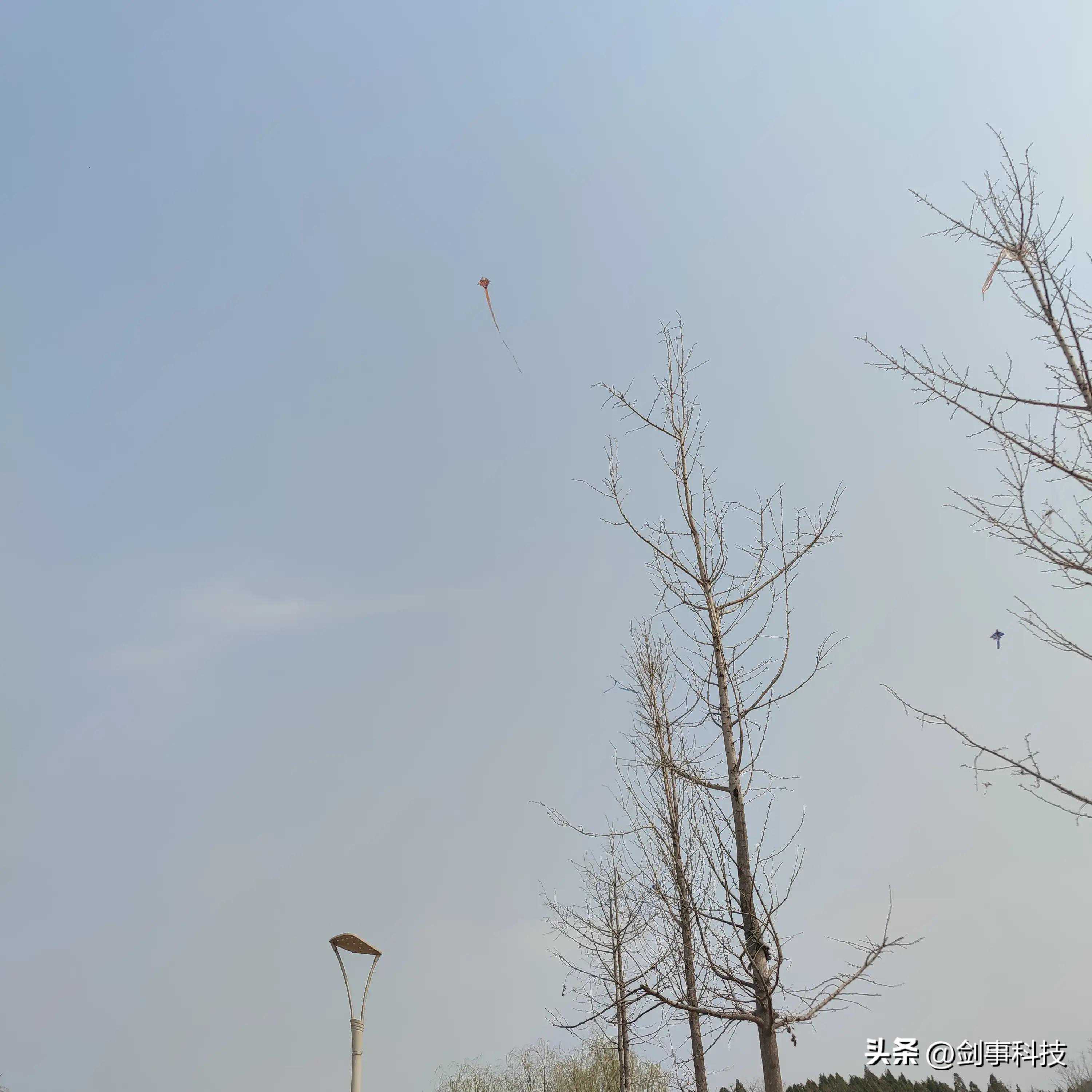 【原创】《第一次放风筝》（一）