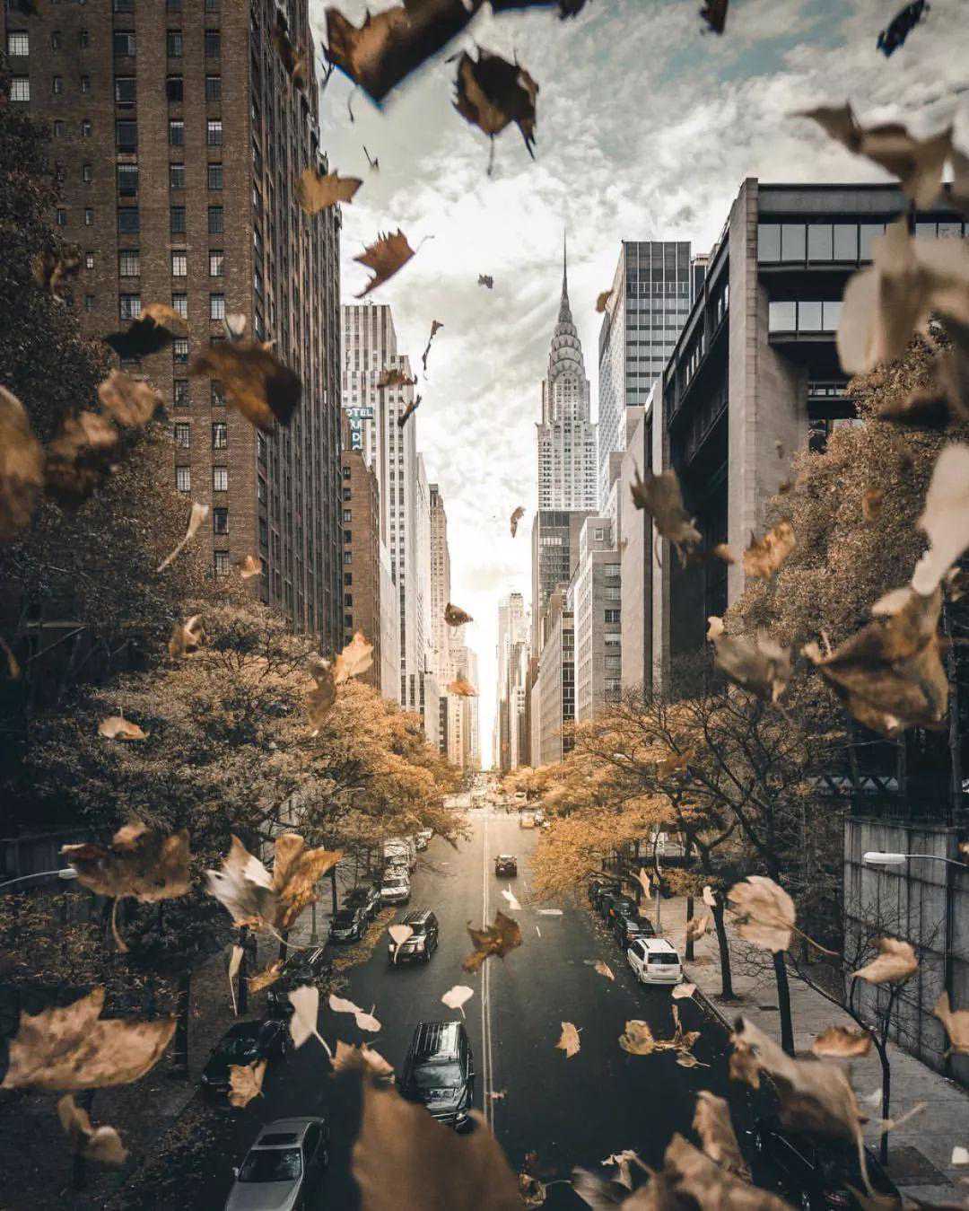 摄影中最常用的构图技巧，你掌握了吗？