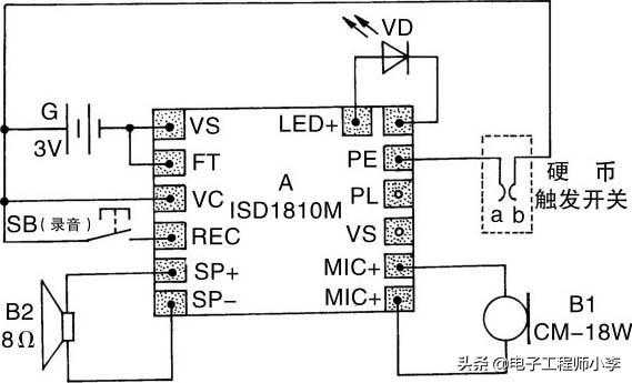创意电子小制作，会说话的“金猪”储钱罐