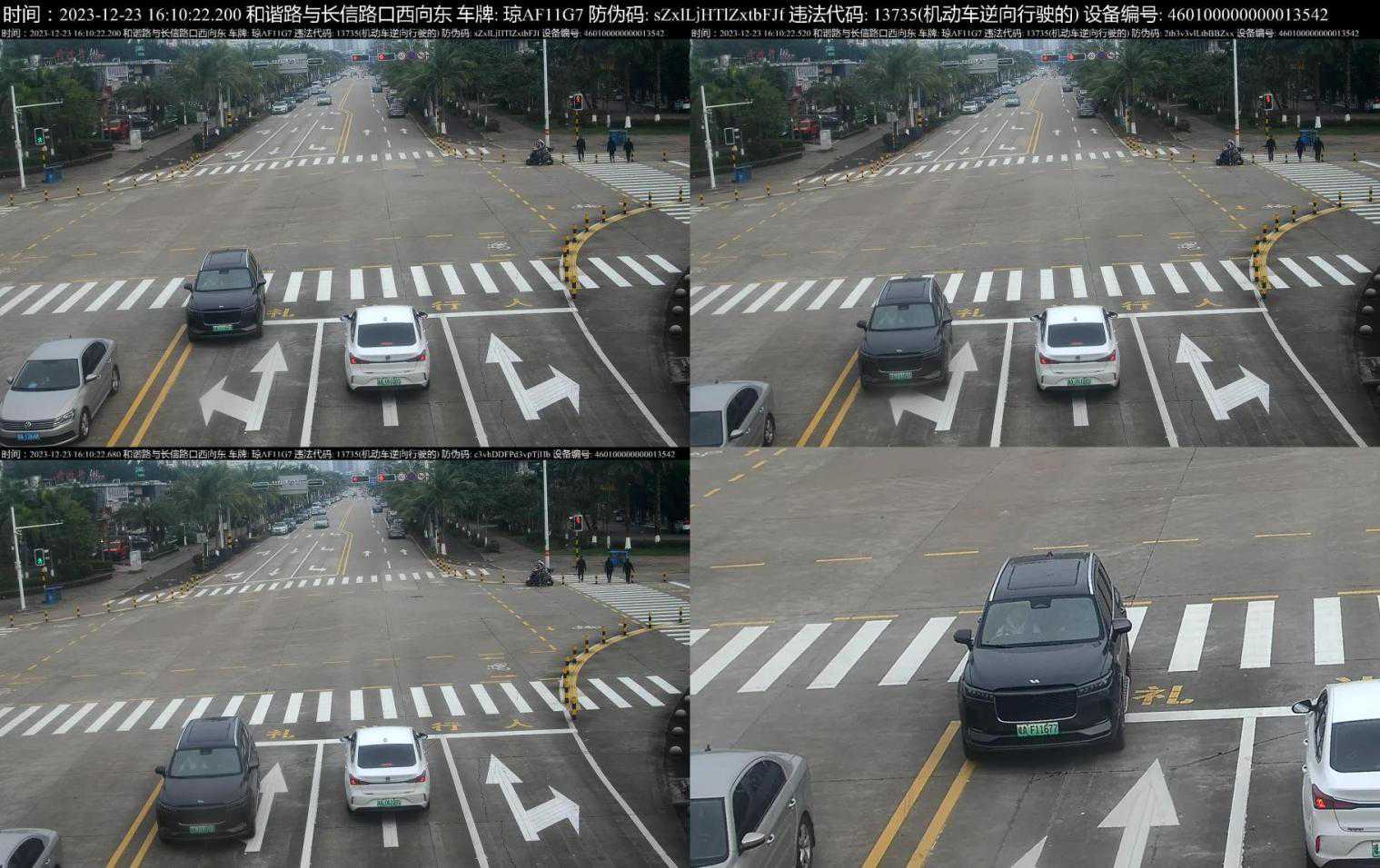 这些“逆行”的车主！你们被拍了