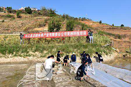 科技助力春耕生产