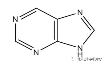 科技名词|什么是嘌呤？