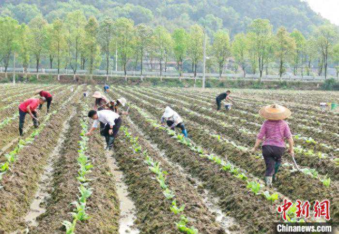 湖南东安气象科技“护航”春耕