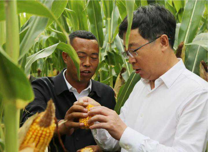 科技赋能助力粮食增产 黑龙江省农科院举办科技增粮暨庆丰收田间观摩培训会