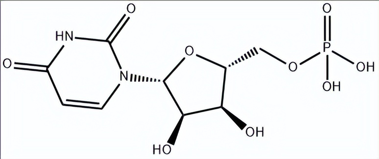 尿苷-5-单磷酸 | 58-97-9 | 瑞威尔生物科技