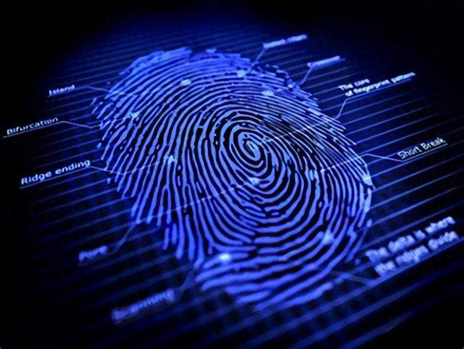 指纹模块FPC：现代科技与生活的新融合