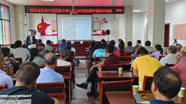 科技赋能“双地标” 助力大崎山产业振兴