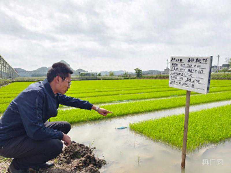 万象“耕”新｜有“智”更有“质”  春耕尽显“科技范儿”