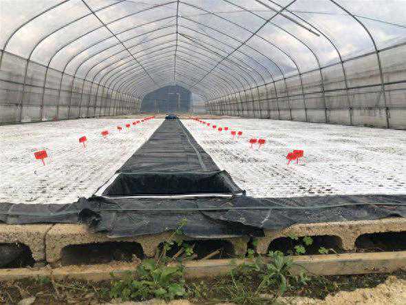 湖北利川：科技创新赋能产业高质量发展