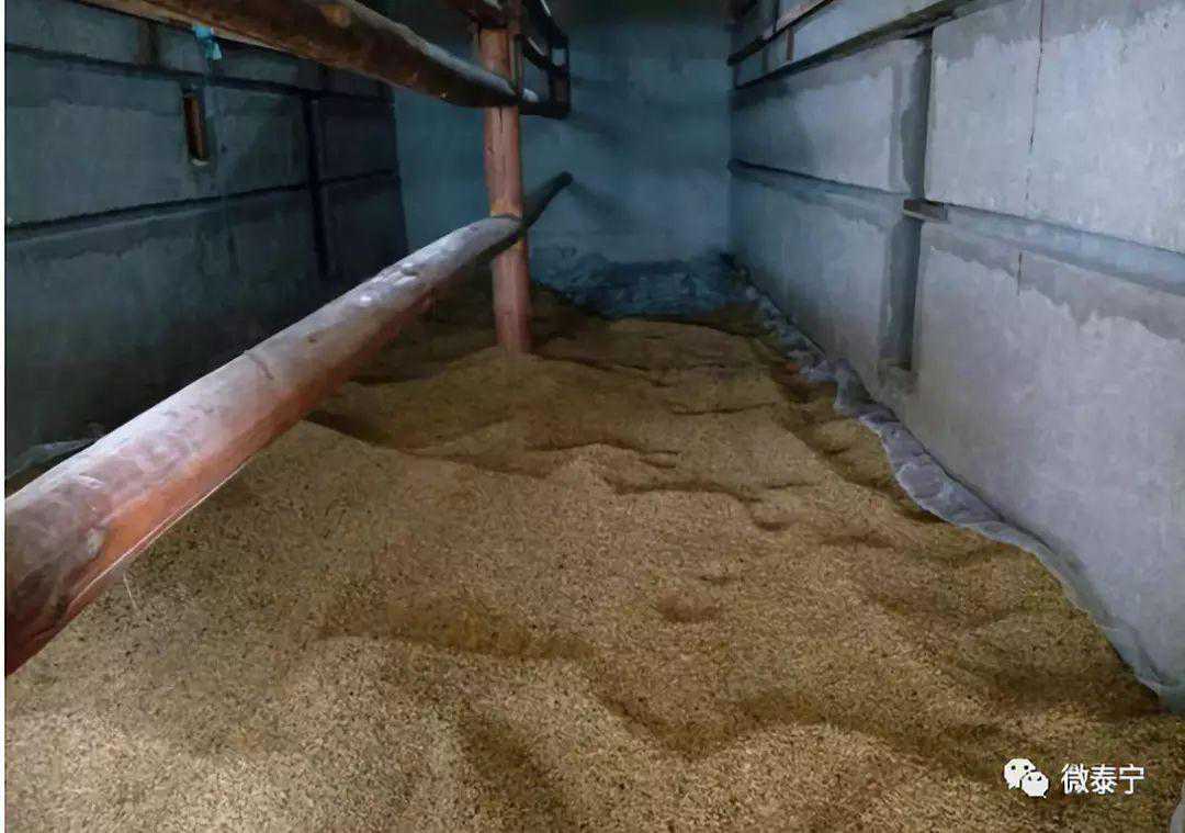 泰宁：1200座闲置烤烟房巧改造，“变身”稻种烘干房~|农业科技