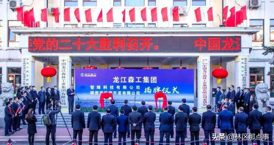 喜讯！森工碳资产公司和哈尔滨智烽科技公司挂牌成立