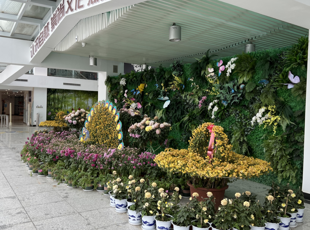 「科技文人一阳SHOW」一阳新鲜事——观顺义七彩蝶蝴蝶生态园