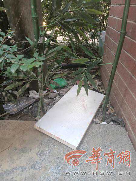 西安科技路西口绿化带里淌泔水、垃圾乱丢 环境太糟糕