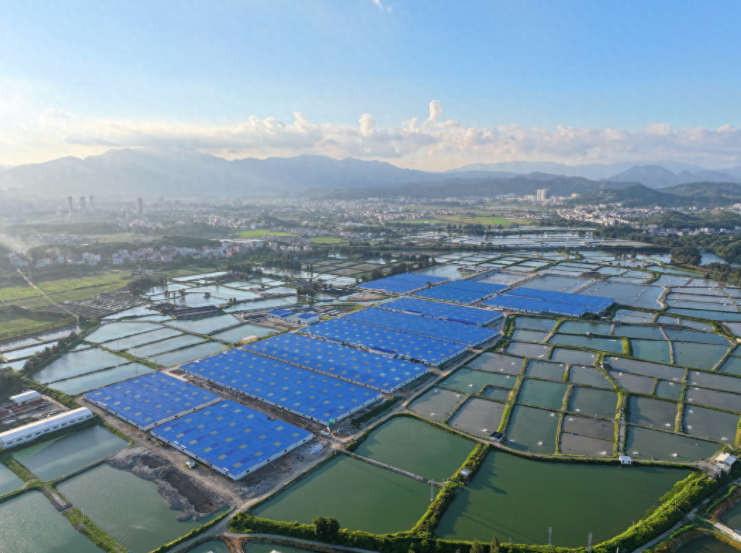 名次再提升！天马科技集团三度入选2023中国农业企业500强！