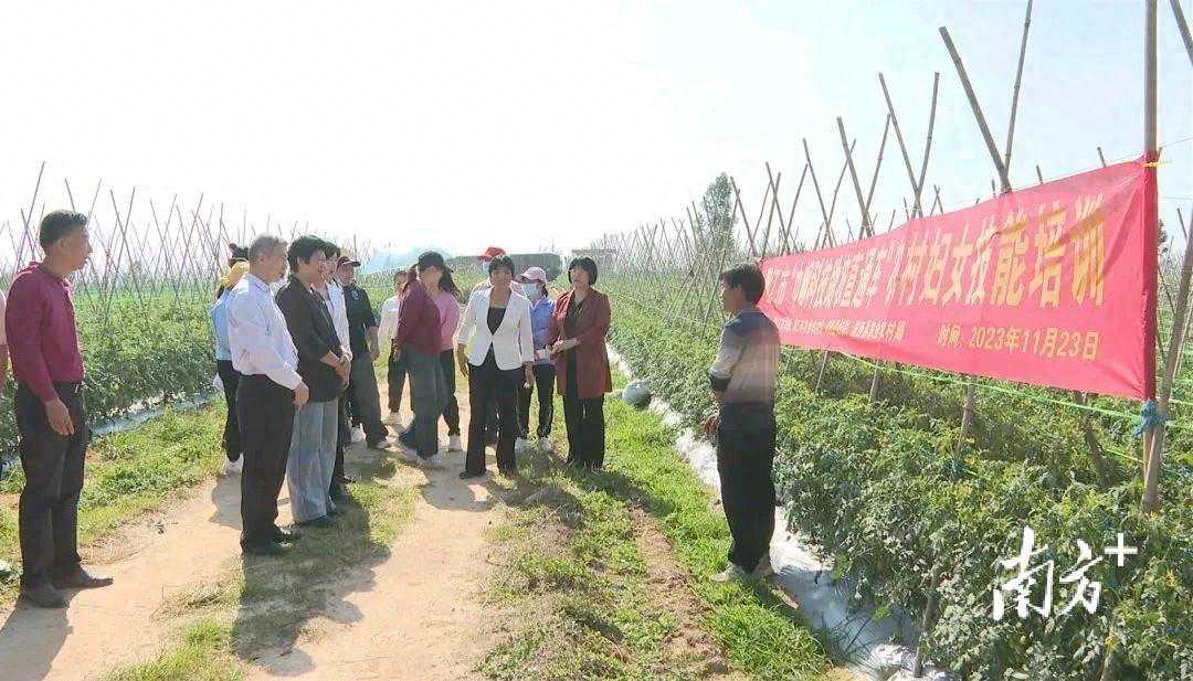 阳江市“巾帼科技助农直通车”农村妇女技能培训在儒洞镇举办