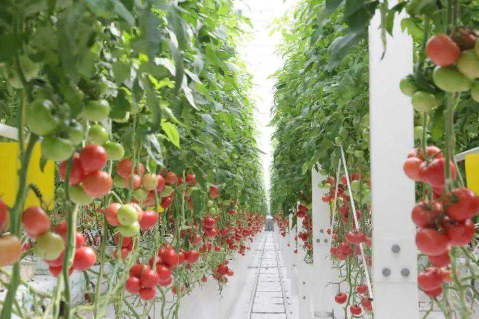 厉害了我的娃！南宁逸夫小学的科技创新节，竟有这些精彩内容