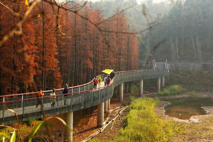 攻略！从八百里到科技城，这14公里打卡青山湖最精华线路！眼睛都饱了