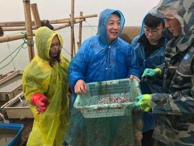 4位博士挂职科技副镇长，一张紫菜让昔日穷乡村变身全国最美渔乡
