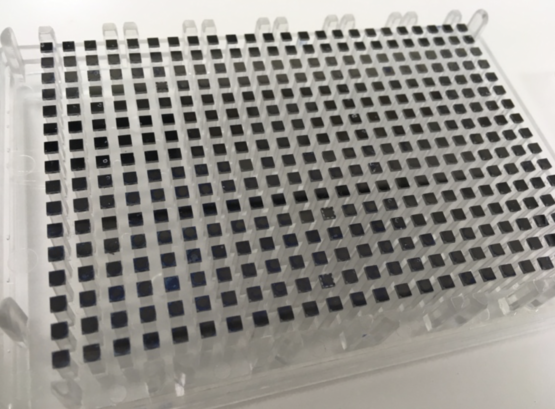 生捷科技新一代超高密度测序芯片发布，大幅提升新型冠状病毒检测精度