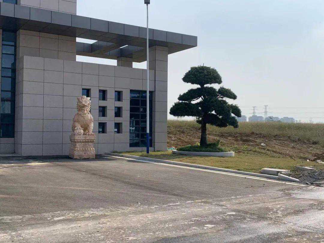 露笑科技跨界“豪赌”碳化硅，价值数亿的工厂已建成，谁持“核心专利”依然成谜