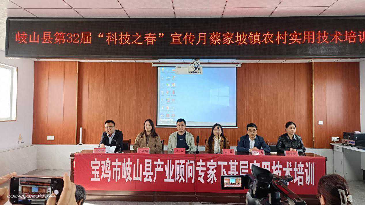 岐山县科协和蔡家坡镇政府联合举办“科技之春”宣传月樱桃种植管理实用技术直播培训会