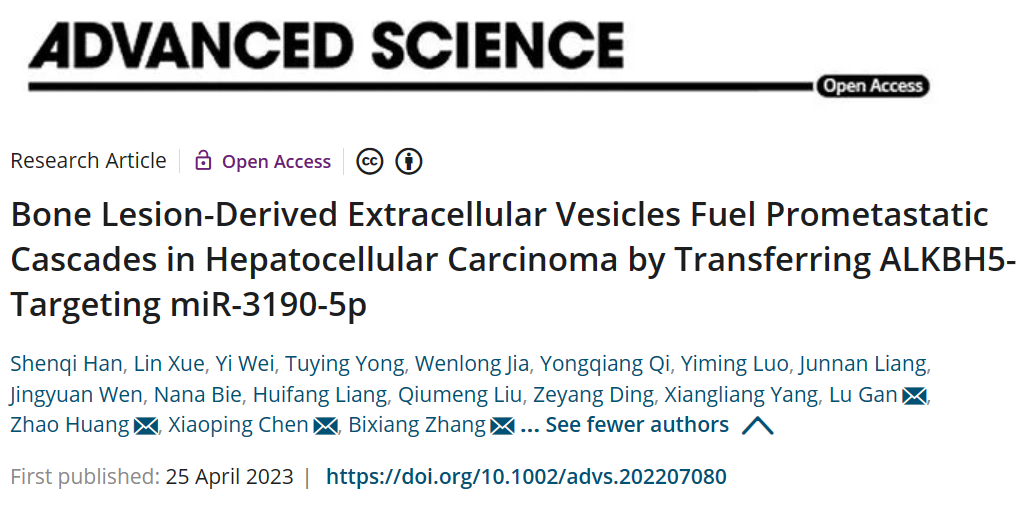 华中科技大学陈孝平/张必翔/黄昭/甘璐发现肝癌骨转移灶分泌的细胞外囊泡加速肝脏原位肿瘤转移