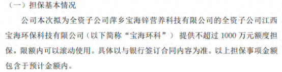 宝海微元拟为全资子公司萍乡宝海锌营养科技有限公司的全资子公司宝海环科提供不超过1000万的担保