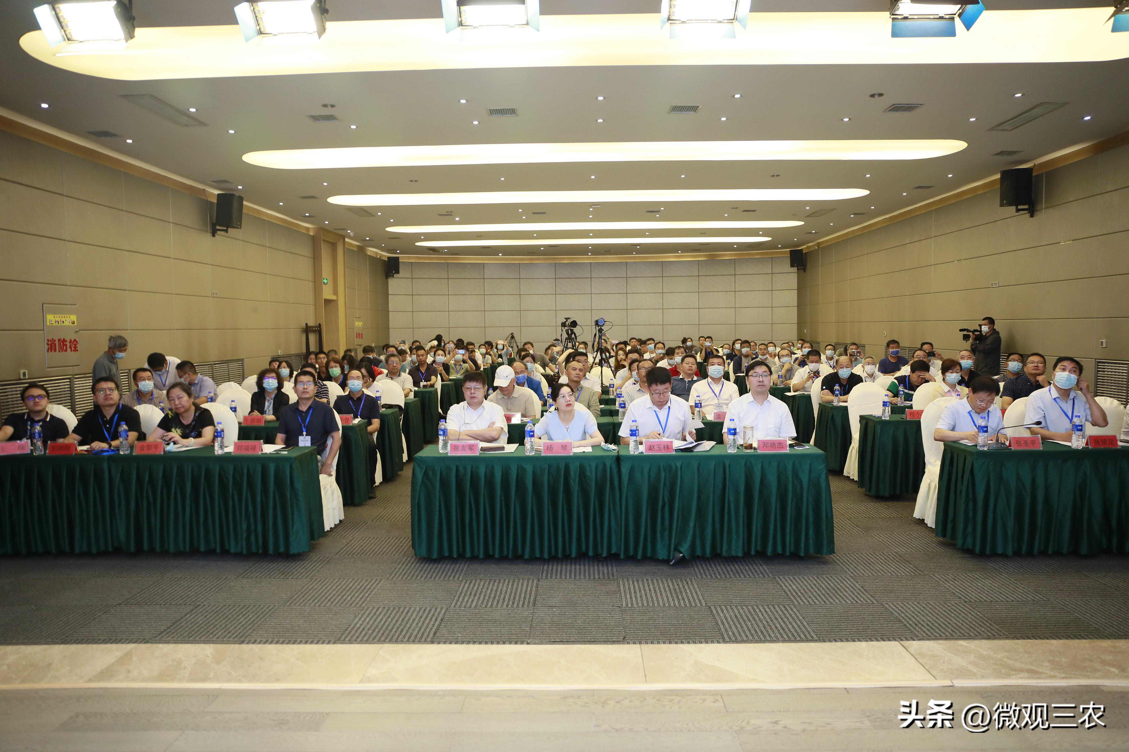 为马铃薯产业绿色高质量发展赋能——中薯系列新品种与马铃薯绿色高产高效栽培技术推进稳产保供与科技增粮