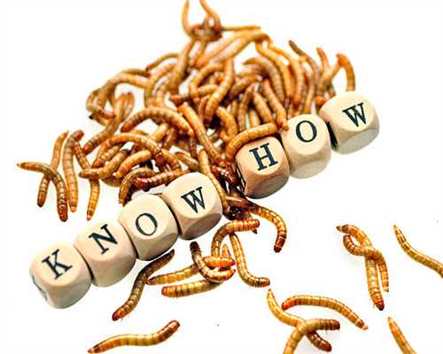 别看了那么多年电影，连电影的常见版本都不知道（二）