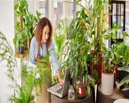 博时旗下公募基金上半年盈利超200亿元