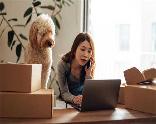 重塑能源成本偏高亏损加剧：狂押注氢燃料电池，盈利前景承压