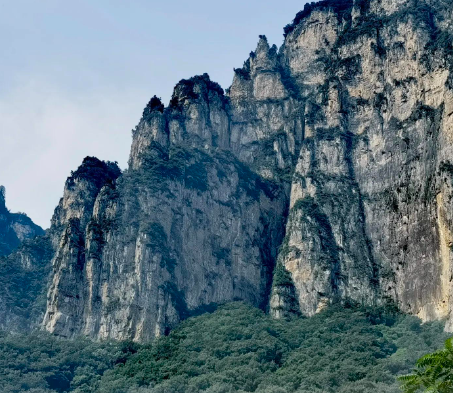 科技支撑，江苏建设现代“桃花源”