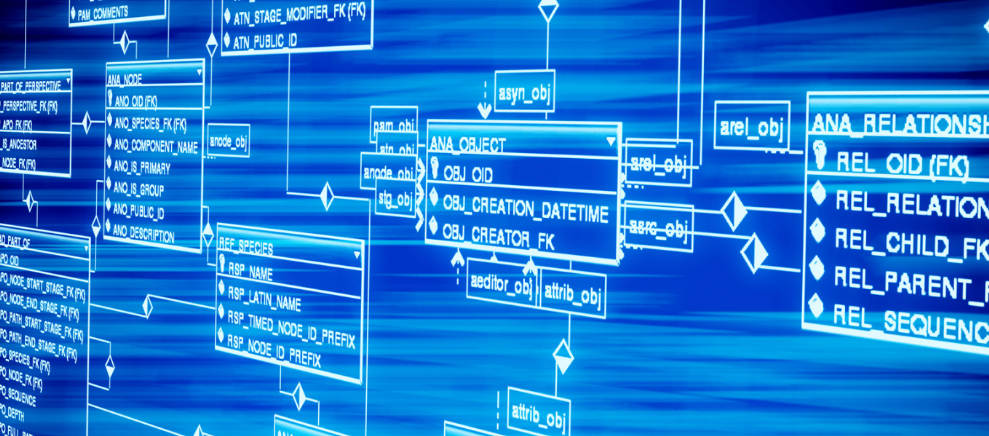 电工口诀——万用表检测二、三极管